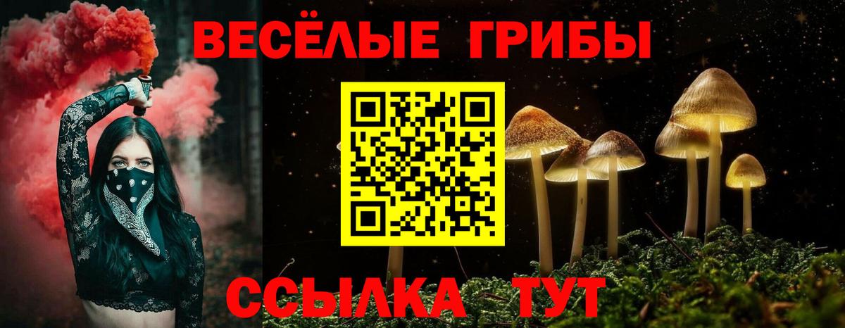 Барнаул  Псилоцибиновые грибы GOLDEN TEACHER  Псилоцибиновые грибы прущие грибы  Вход с VPN 